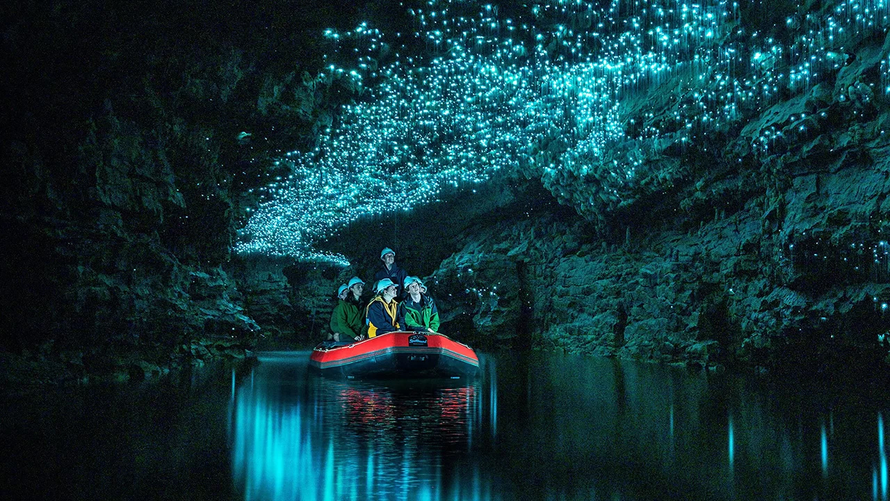 Hang Waitomo Glowworm (New Zealand) – Vẻ đẹp của ánh sáng sinh học