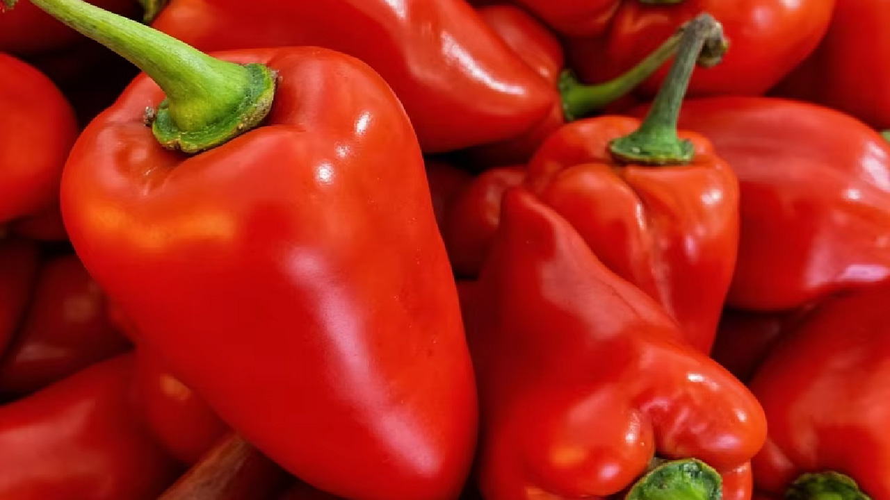 Scotch Bonnet – Linh Hồn Của Ẩm Thực Jamaica