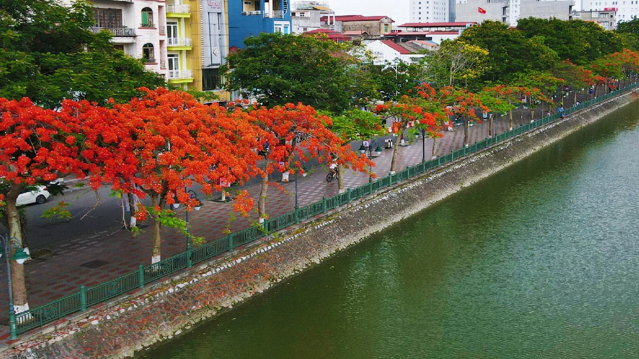 Thành Phố Hải Phòng – Địa Phương Diện Tích Khiêm Tốn Nhưng Tầm Vóc Hải Luật