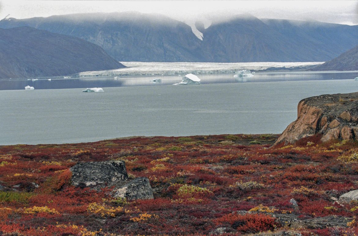Khung cảnh băng tuyết hùng vĩ tại Greenland - hòn đảo lớn nhất thế giới