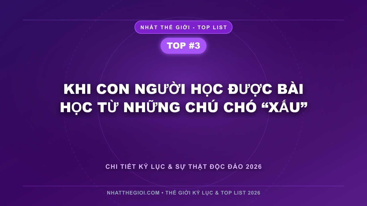 Khi con người học được bài học từ những chú chó “xấu” - Ai Là Chó Xấu Nhất Thế Giới – Khi “Xấu” Trở Thành Nét Đẹp Riêng
