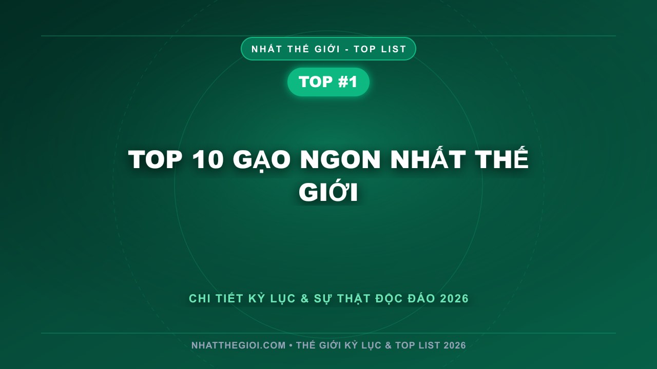 Top 10 Gạo Ngon Nhất Thế Giới - Gạo Ngon Nhất Thế Giới – Tinh Hoa Từ Hạt Ngọc Trời