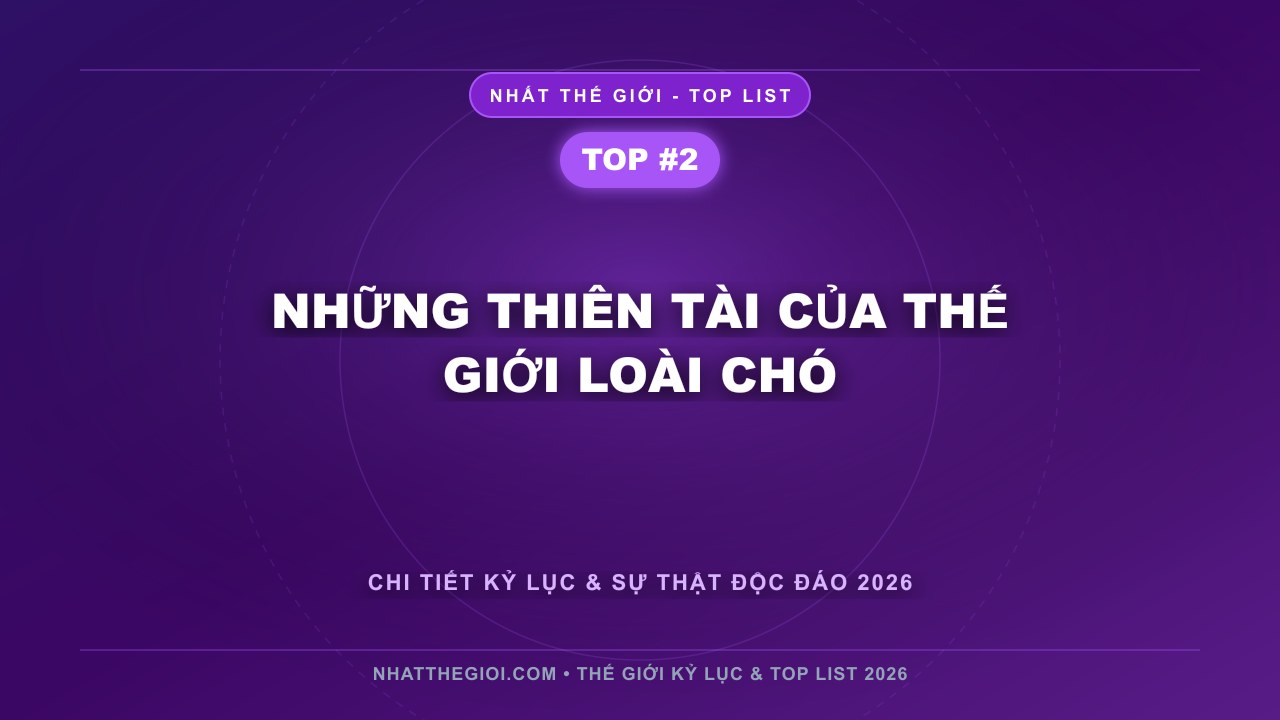 Những thiên tài của thế giới loài chó - Top 10 Loài Chó Thông Minh Nhất Thế Giới – Khi Trí Tuệ Ẩn Sau Đôi Mắt Trung Thành