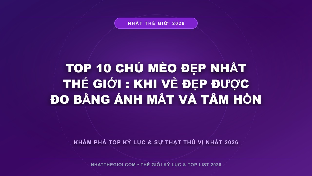 Hình ảnh kỷ lục Top 10 Chú Mèo Đẹp Nhất Thế Giới mới nhất 2026
