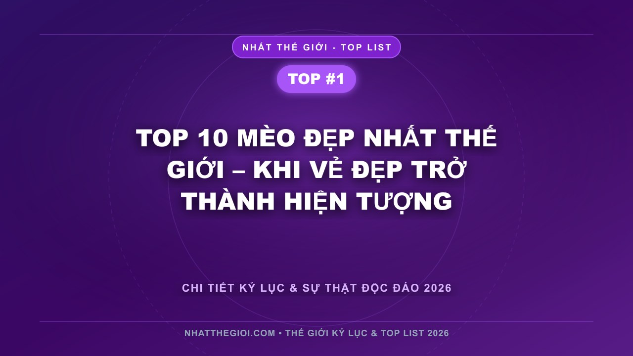 Top 10 Mèo Đẹp Nhất Thế Giới – Khi Vẻ Đẹp Trở Thành Hiện Tượng - Top 10 Chú Mèo Đẹp Nhất Thế Giới – Khi Vẻ Đẹp Được Đo Bằng Ánh Mắt Và Tâm Hồn