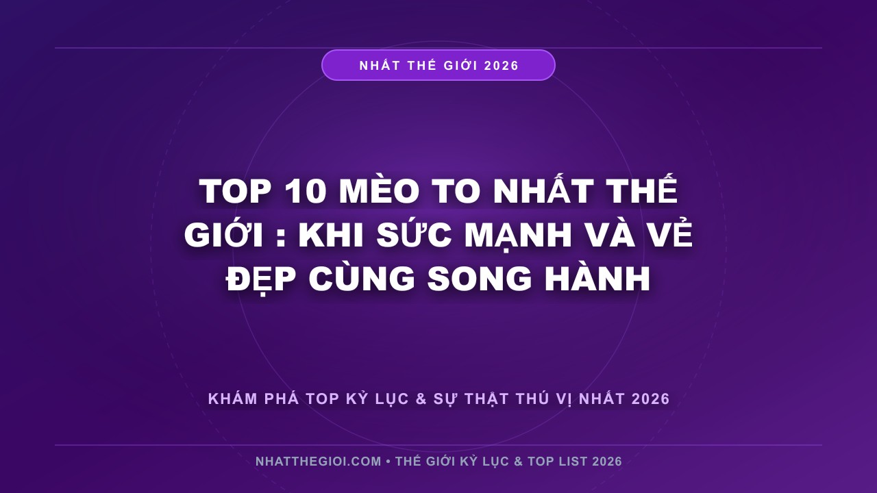 Hình ảnh kỷ lục Top 10 Mèo To Nhất Thế Giới mới nhất 2026