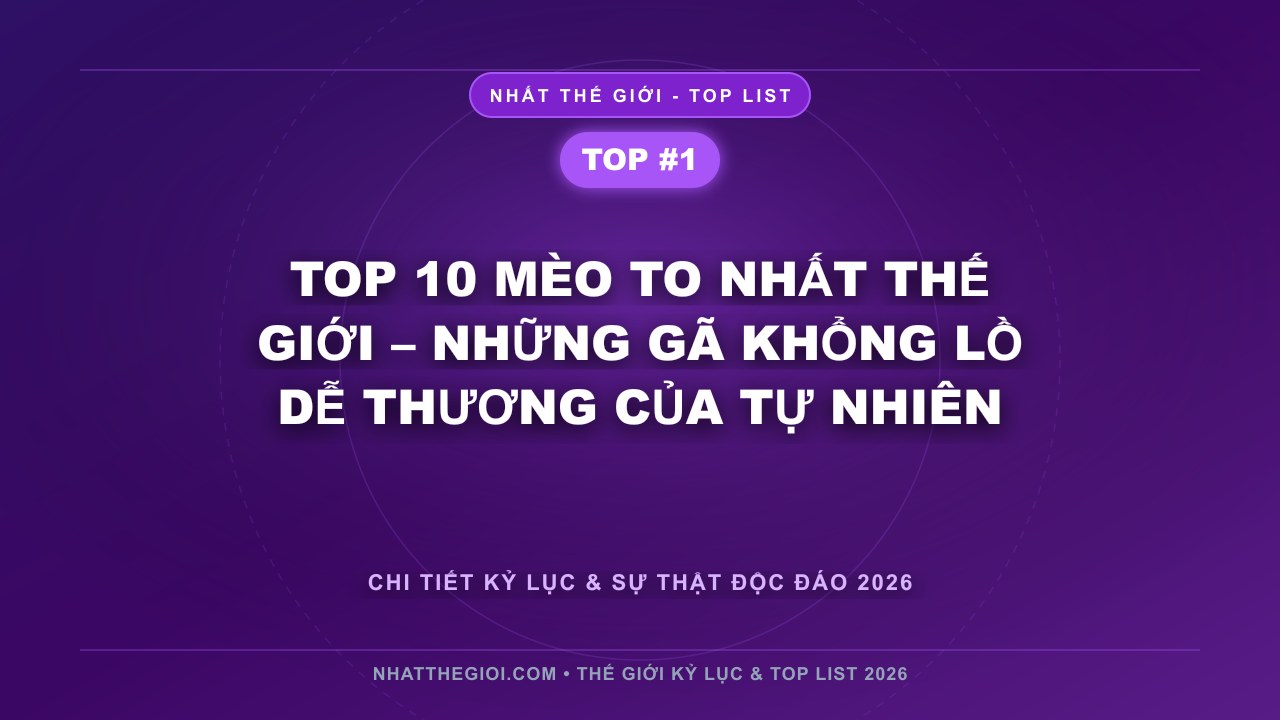 Top 10 Mèo To Nhất Thế Giới – Những Gã Khổng Lồ Dễ Thương Của Tự Nhiên - Top 10 Mèo To Nhất Thế Giới – Khi Sức Mạnh Và Vẻ Đẹp Cùng Song Hành