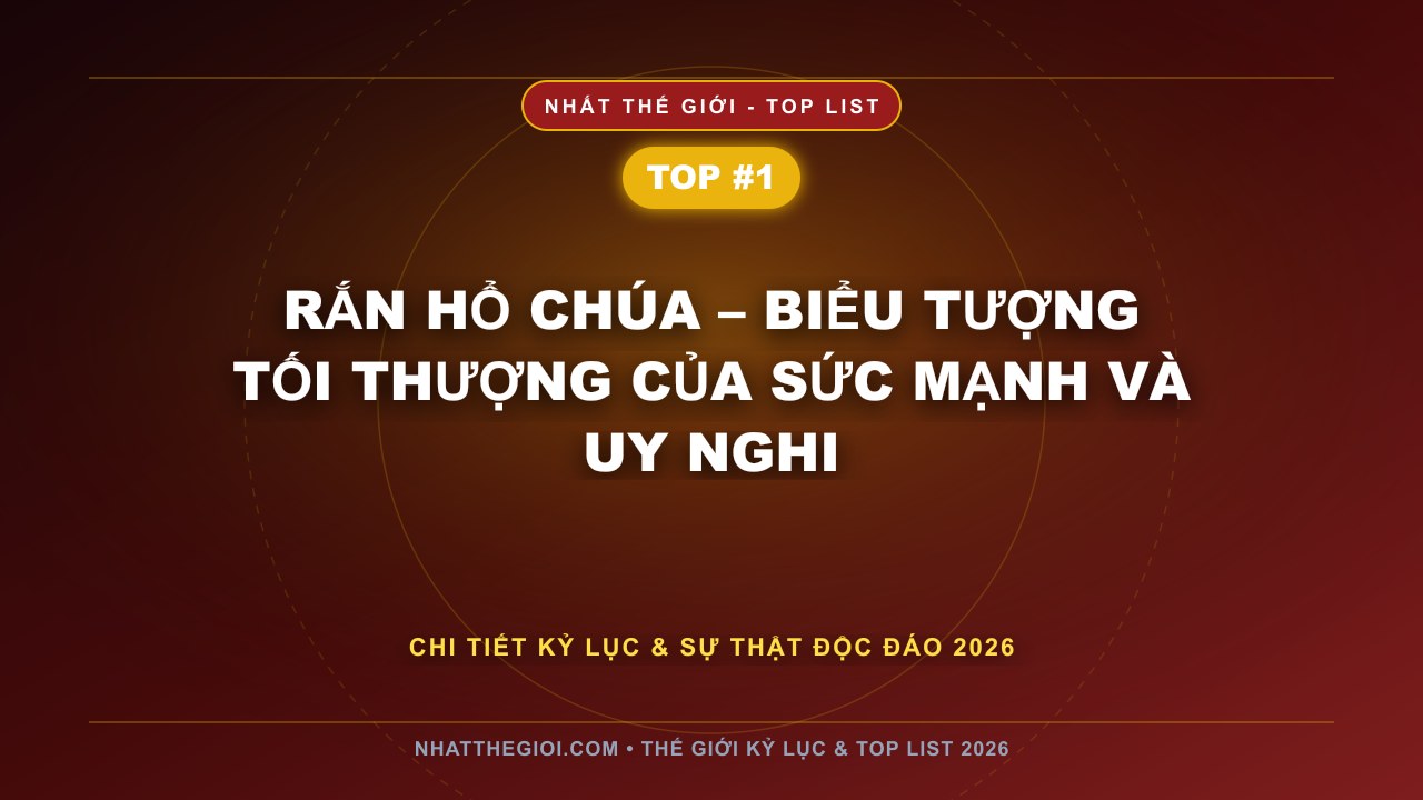 Rắn Hổ Chúa – Biểu Tượng Tối Thượng Của Sức Mạnh Và Uy Nghi - Top 10 Rắn Độc Nhất Việt Nam – Khi Thiên Nhiên Ẩn Giấu Sức Mạnh Chết Người