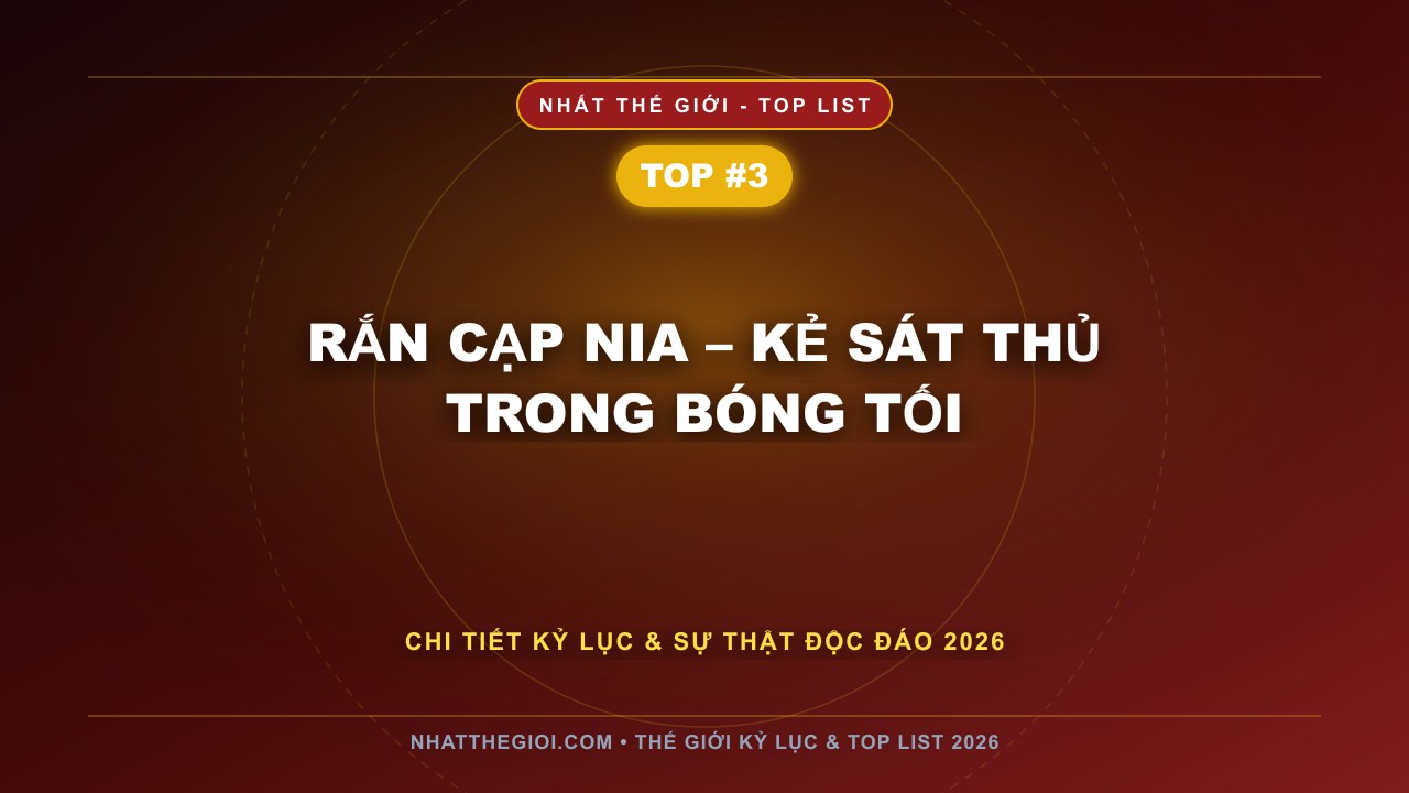 Rắn Cạp Nia – Kẻ Sát Thủ Trong Bóng Tối - Top 10 Rắn Độc Nhất Việt Nam – Khi Thiên Nhiên Ẩn Giấu Sức Mạnh Chết Người