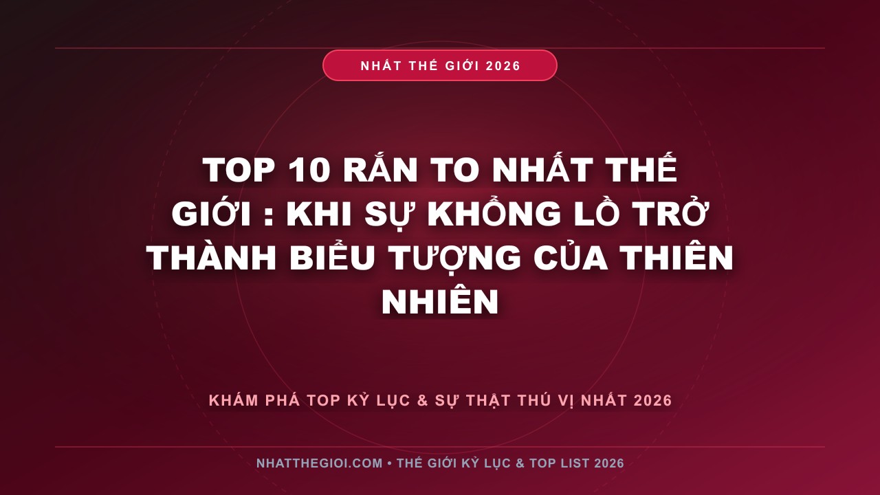 Hình ảnh kỷ lục Top 10 Rắn To Nhất Thế Giới mới nhất 2026