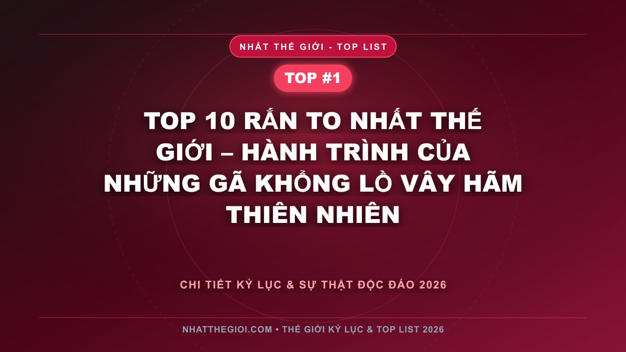 Top 10 Rắn To Nhất Thế Giới – Hành Trình Của Những Gã Khổng Lồ Vây Hãm Thiên Nhiên - Top 10 Rắn To Nhất Thế Giới – Khi Sự Khổng Lồ Trở Thành Biểu Tượng Của Thiên Nhiên