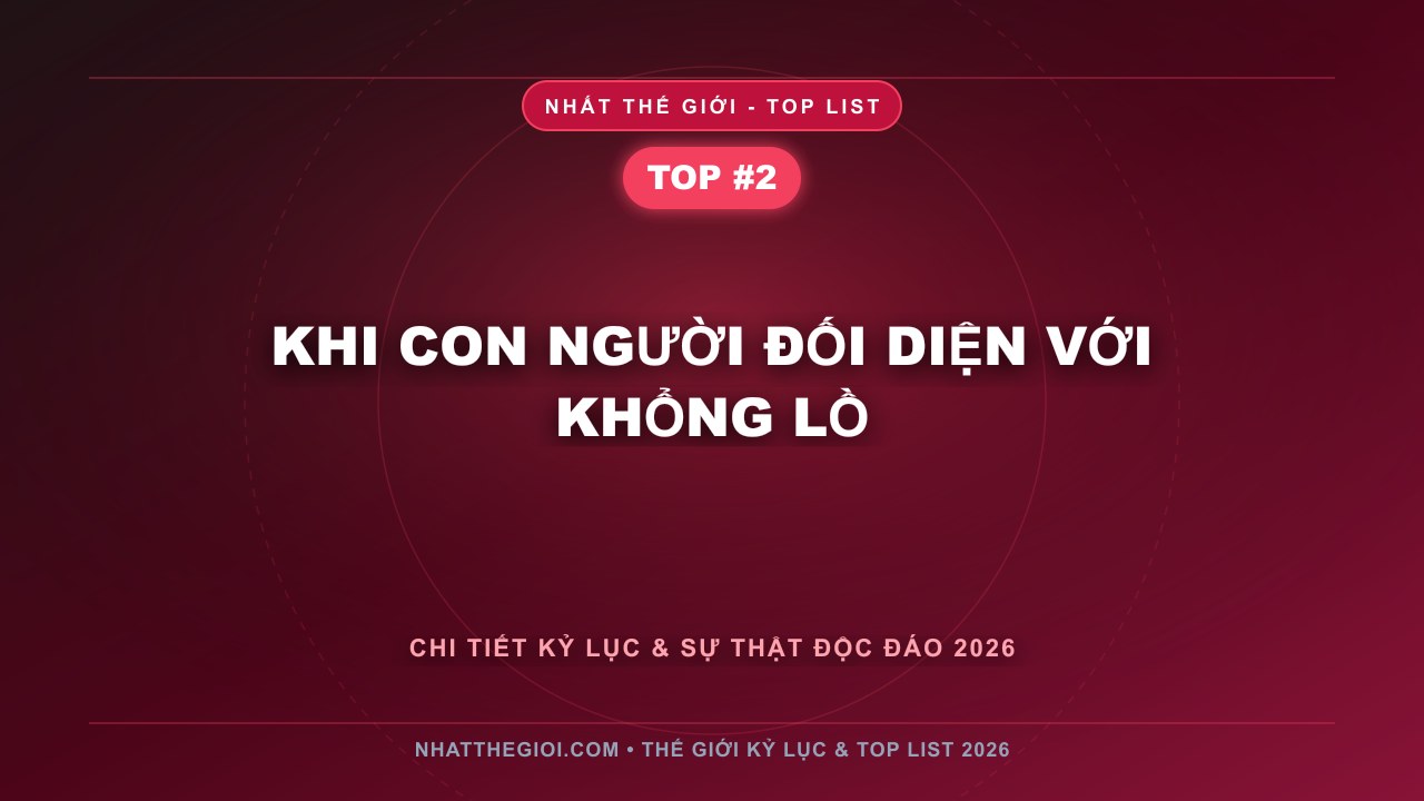 Khi Con Người Đối Diện Với Khổng Lồ - Top 10 Rắn To Nhất Thế Giới – Khi Sự Khổng Lồ Trở Thành Biểu Tượng Của Thiên Nhiên