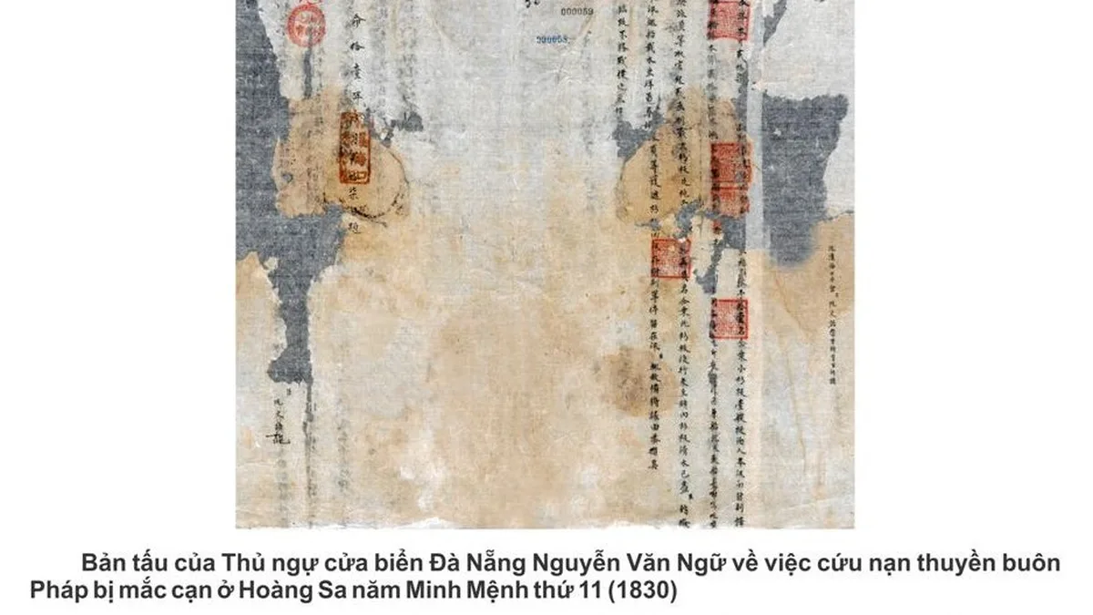 cảng biển lớn nhất châu á - Hình ảnh thực tế 3