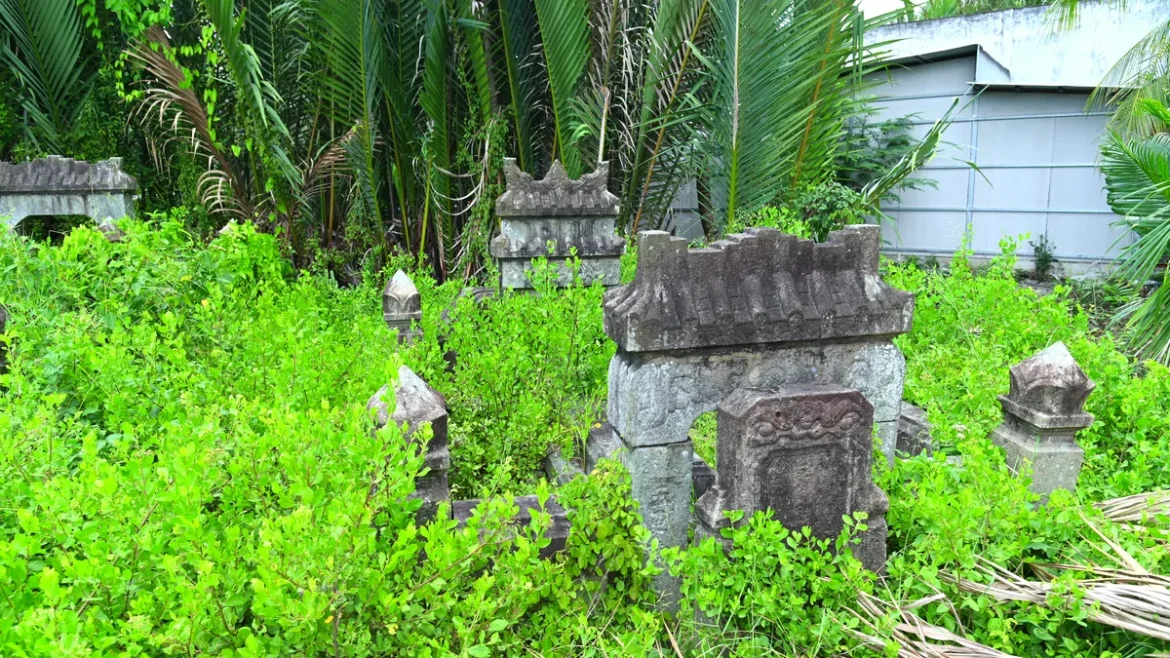 côn trùng khỏe nhất thế giới - Hình ảnh thực tế 1