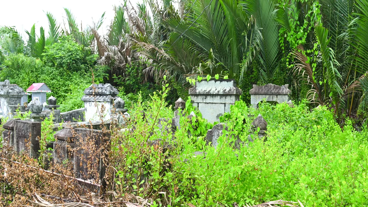 dòng sông dài nhất thế giới - Hình ảnh thực tế 3