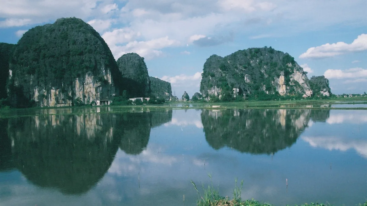 động vật chạy nhanh nhất hành tinh - Hình ảnh thực tế 3
