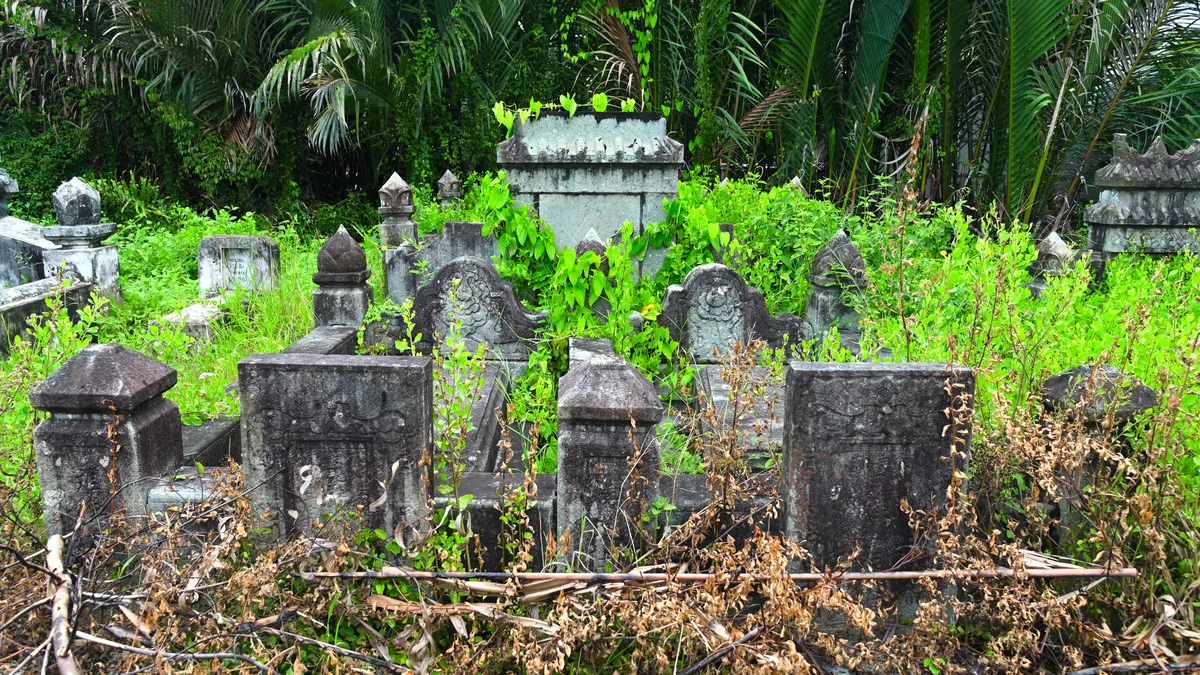 động vật sống thọ nhất thế giới - Hình ảnh thực tế 3