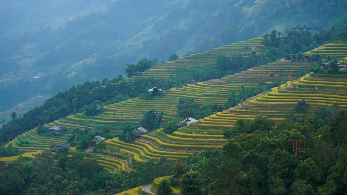 ruộng bậc thang đẹp nhất - Hình ảnh thực tế 3